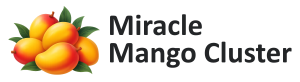 Mango Cluster Logo